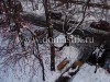 /photos/18763.jpg?w=640&h=480