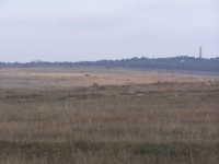 /photos/101765.jpg?w=640&h=480
