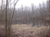 /photos/101876.jpg?w=640&h=480