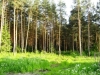 /photos/102773.jpg?w=640&h=480