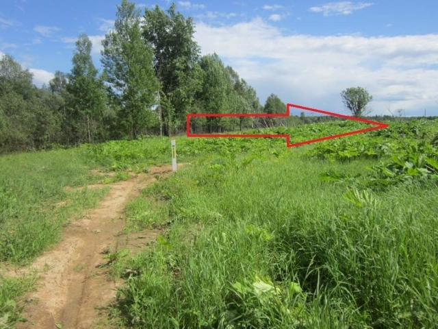 Купить Участок В Талдомском Село Новоникольское