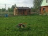 /photos/103145.jpg?w=640&h=480