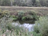 /photos/103945.jpg?w=640&h=480