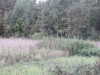 /photos/103947.jpg?w=640&h=480