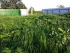 /photos/104063.jpg?w=640&h=480
