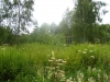 /photos/105383.jpg?w=640&h=480