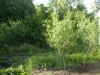 /photos/105394.jpg?w=640&h=480
