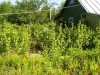 /photos/105396.jpg?w=640&h=480