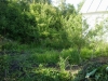 /photos/105398.jpg?w=640&h=480