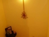 /photos/105570.jpg?w=640&h=480