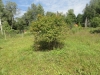 /photos/105839.jpg?w=640&h=480