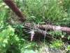/photos/106020.jpg?w=640&h=480