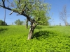 /photos/106059.jpg?w=640&h=480