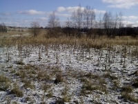 /photos/106433.jpg?w=640&h=480