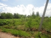 /photos/106495.jpg?w=640&h=480