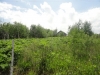 /photos/106497.jpg?w=640&h=480