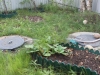 /photos/107041.jpg?w=640&h=480