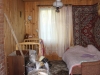 /photos/107444.jpg?w=640&h=480