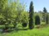 /photos/107452.jpg?w=640&h=480