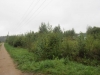 /photos/107855.jpg?w=640&h=480