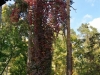 /photos/110797.jpg?w=640&h=480
