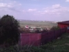 /photos/11330.jpg?w=640&h=480