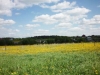 /photos/11484.jpg?w=640&h=480