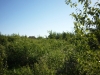 /photos/11491.jpg?w=640&h=480