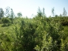 /photos/11493.jpg?w=640&h=480