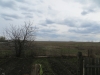 /photos/115419.jpg?w=640&h=480