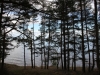 /photos/115767.jpg?w=640&h=480