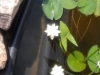 /photos/115799.jpg?w=640&h=480