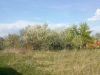 /photos/118815.jpg?w=640&h=480