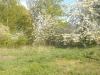 /photos/118816.jpg?w=640&h=480