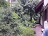 /photos/120291.jpg?w=640&h=480