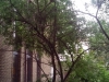 /photos/120953.jpg?w=640&h=480