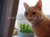 /photos/12204.jpg?w=640&h=480