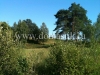 /photos/12276.jpg?w=640&h=480