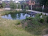 /photos/12409.jpg?w=640&h=480