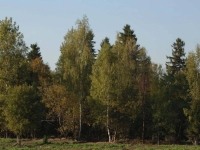 /photos/12829.jpg?w=640&h=480