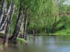 /photos/12834.jpg?w=640&h=480