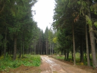 /photos/12838.jpg?w=640&h=480