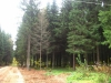 /photos/12839.jpg?w=640&h=480