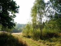 /photos/12852.jpg?w=640&h=480