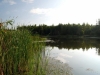 /photos/12853.jpg?w=640&h=480
