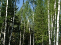 /photos/12855.jpg?w=640&h=480