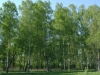 /photos/12856.jpg?w=640&h=480