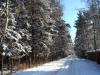 /photos/12858.jpg?w=640&h=480