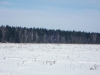 /photos/12894.jpg?w=640&h=480