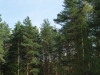 /photos/12896.jpg?w=640&h=480